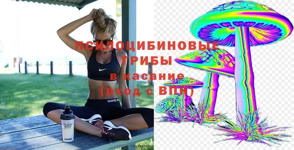 дмт Семикаракорск